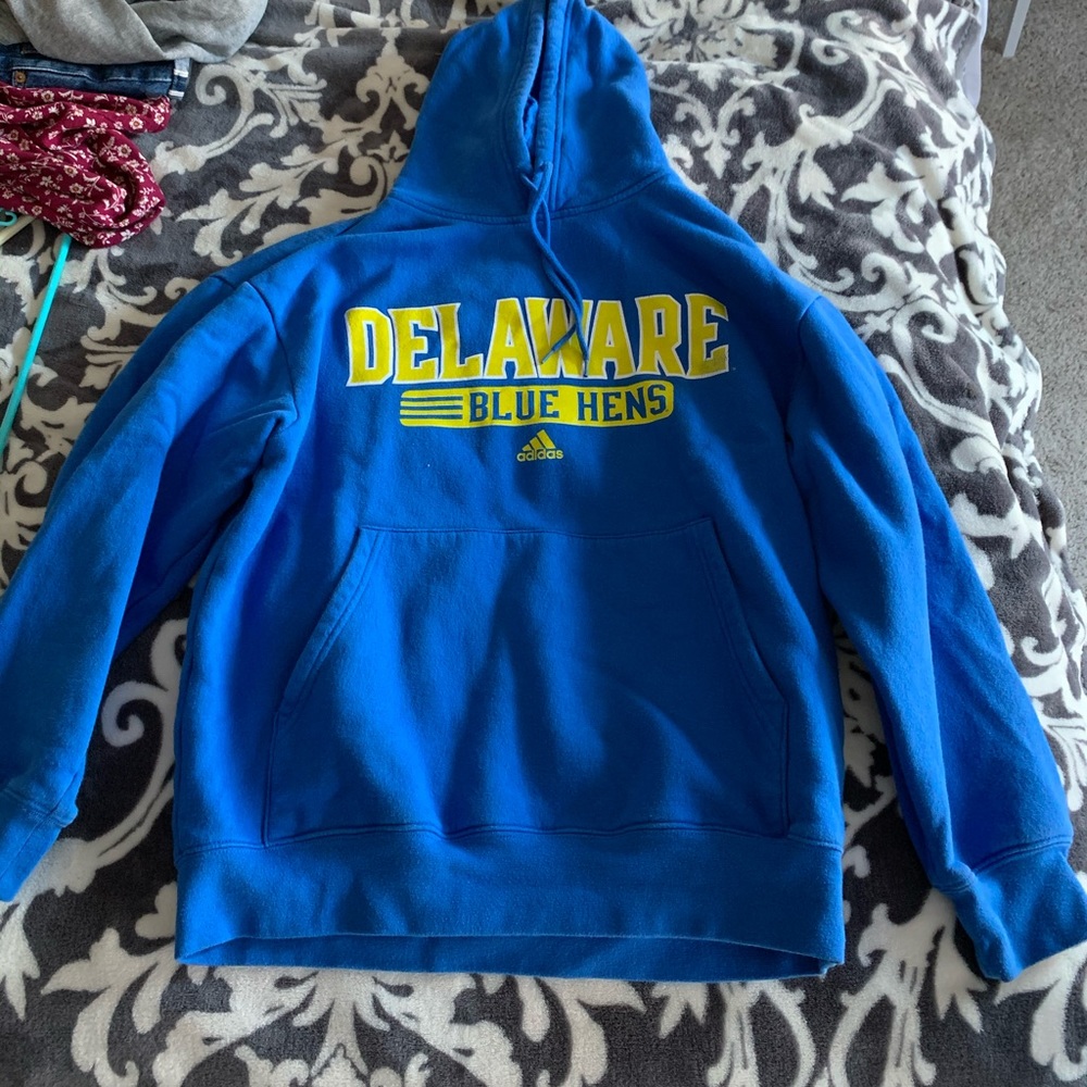 Delaware blue hens sweatshirt